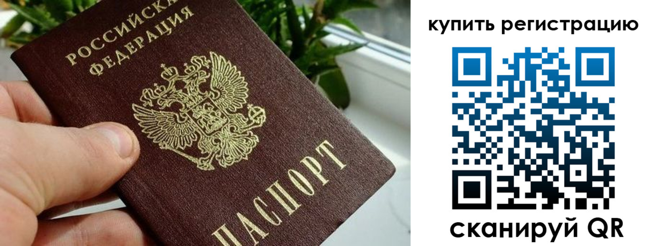 прописка гарантия в Артёмовском